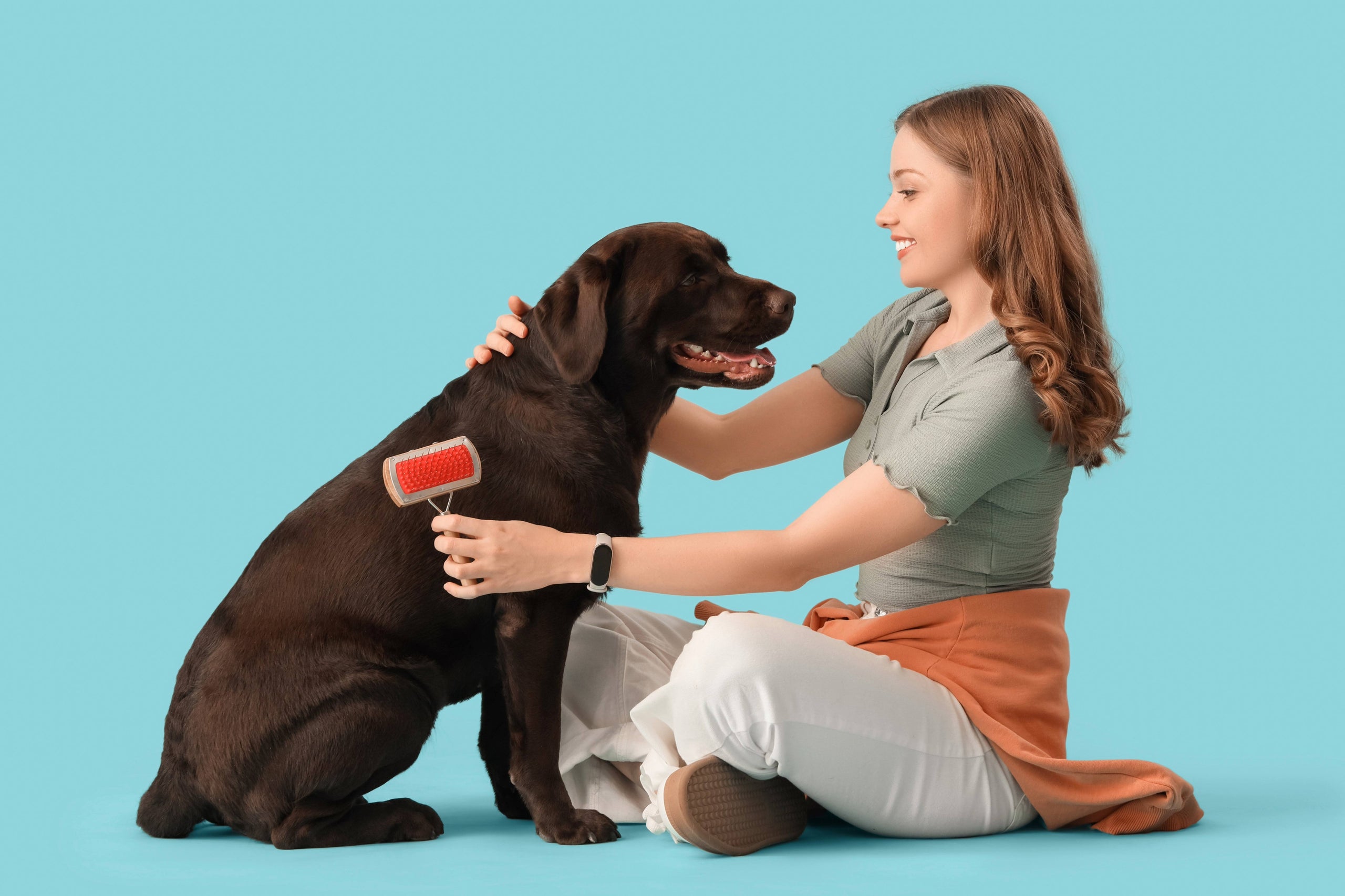 Pampered Pets Academy (Coming Soon)