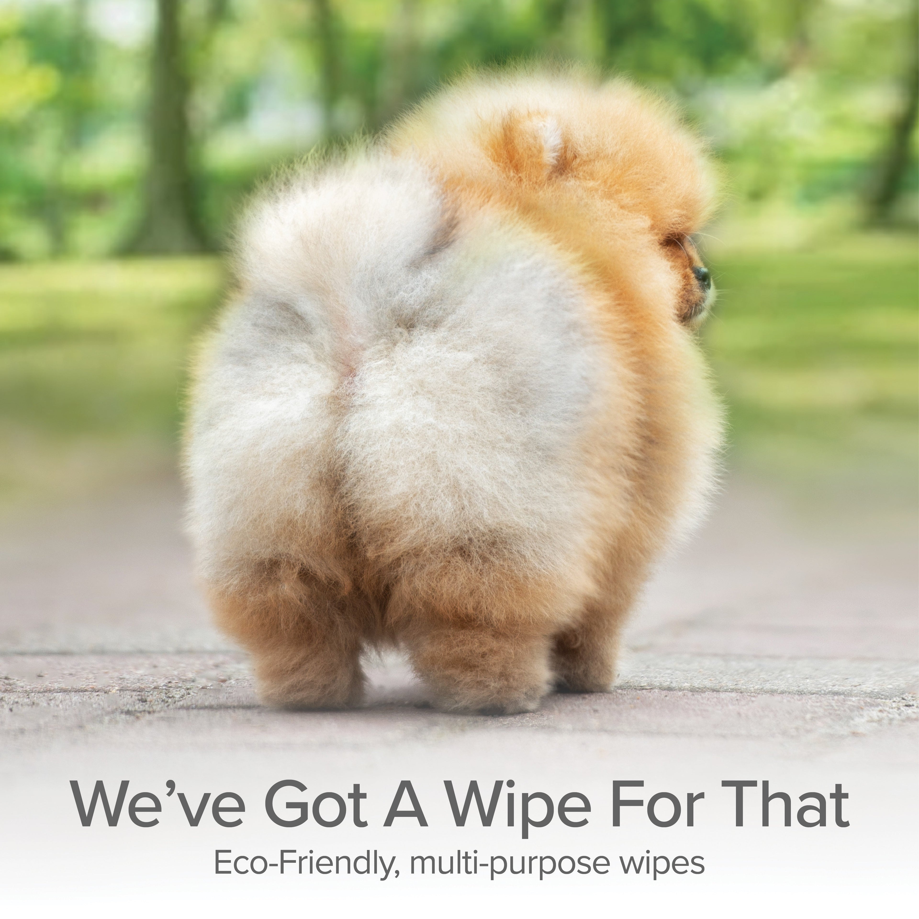 Extra Extra Large Disposable Wipes (Hypoallergenic Fragrance-Free)