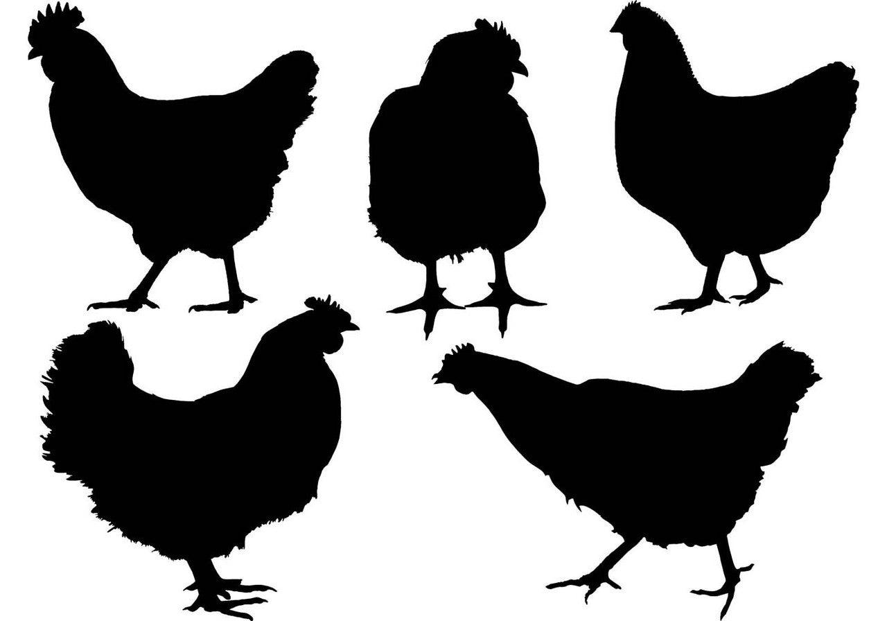 Chicken Cravings – Raw Meal for Cats