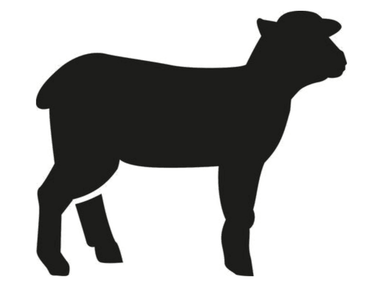 Noble Lamb Feast - Raw Dog Meal