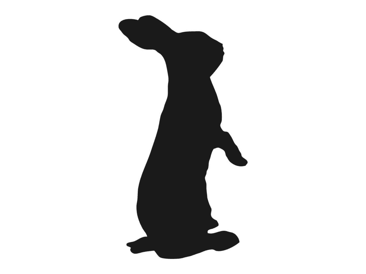 Rabbit Royale – Hypoallergenic Raw Dog Meal