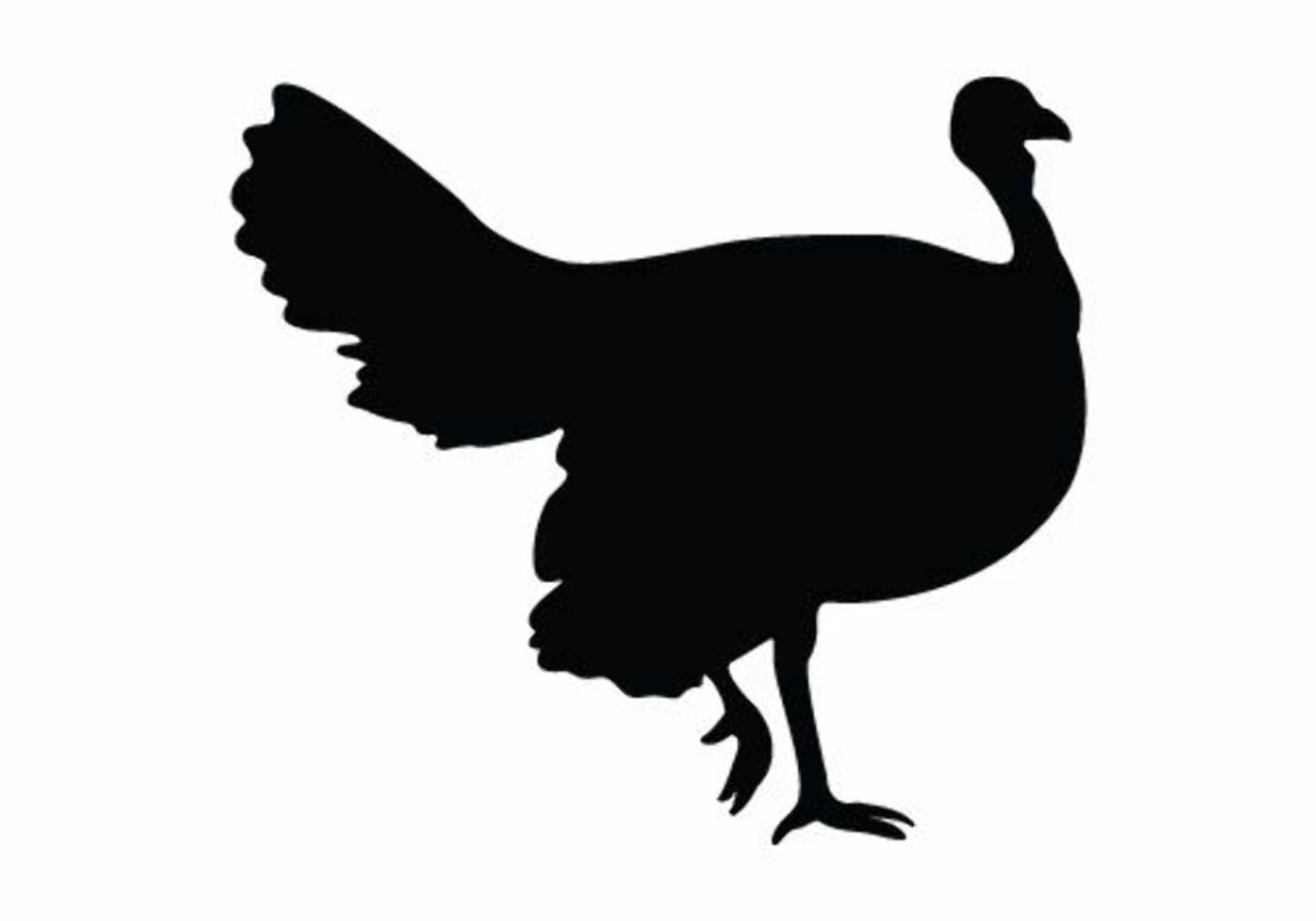 Turkey Temptation – Raw Cat Meal